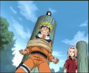 Naruto e Sakura